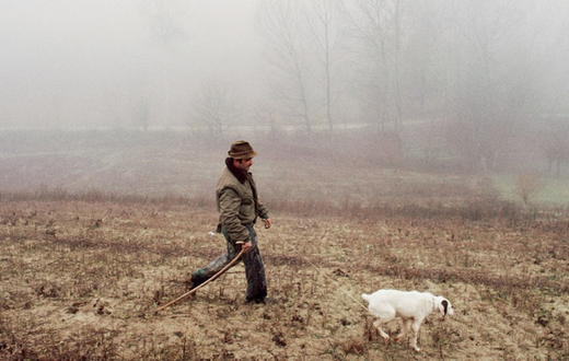 The hunt for white gold